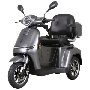 Triciclu electric Samus Arizona-3R1-10T1000-60V20 Silver